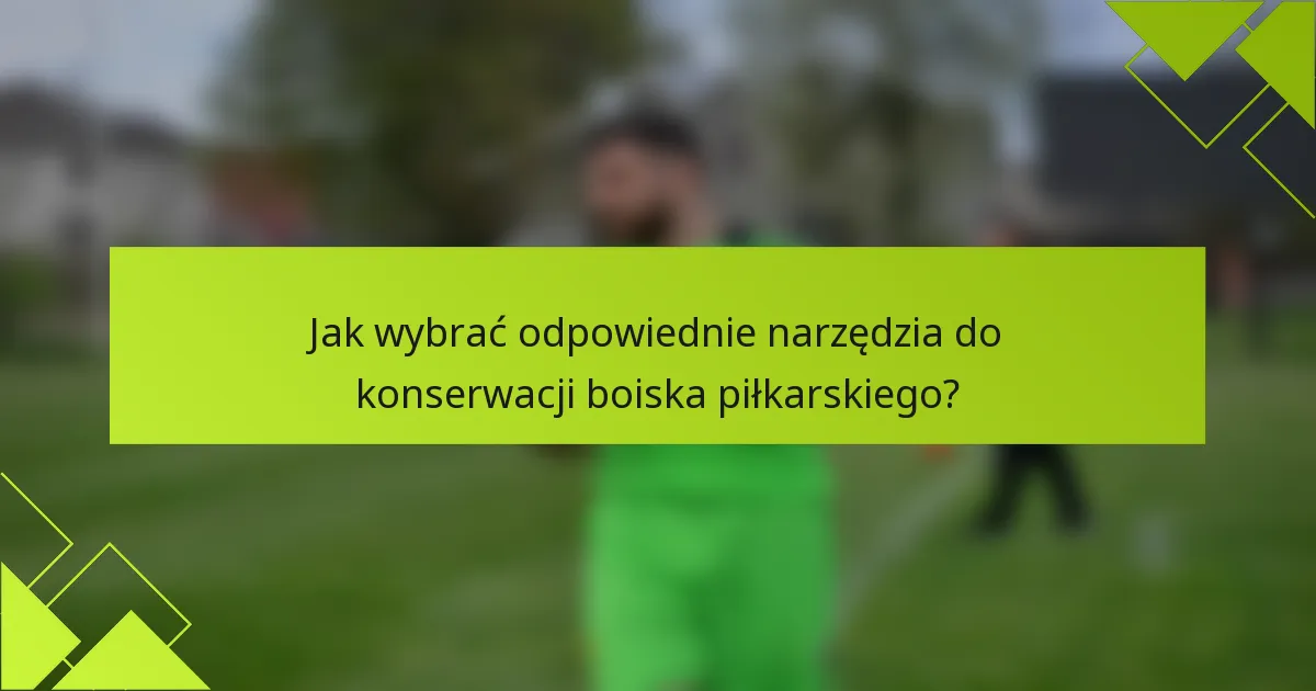 Jak wybrać odpowiednie narzędzia do konserwacji boiska piłkarskiego?